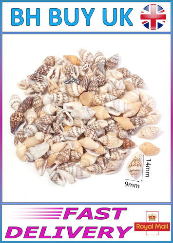 40g aquarium snail shells - snail,