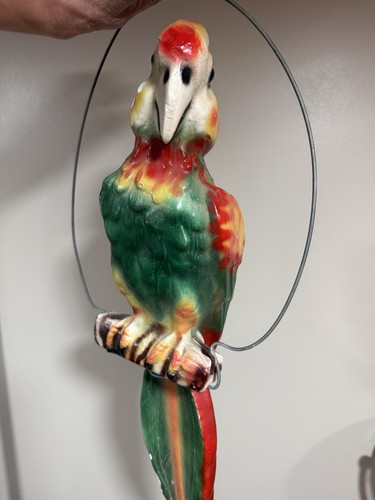 Vtg plaster parrot - 19”, bank
