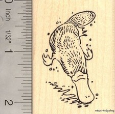 Duck Billed Platypus Rubber