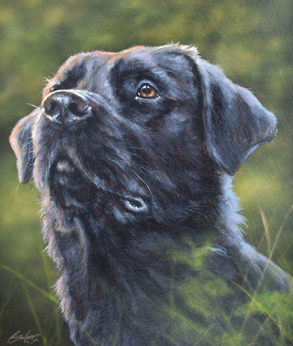John silver original - original, acrylic