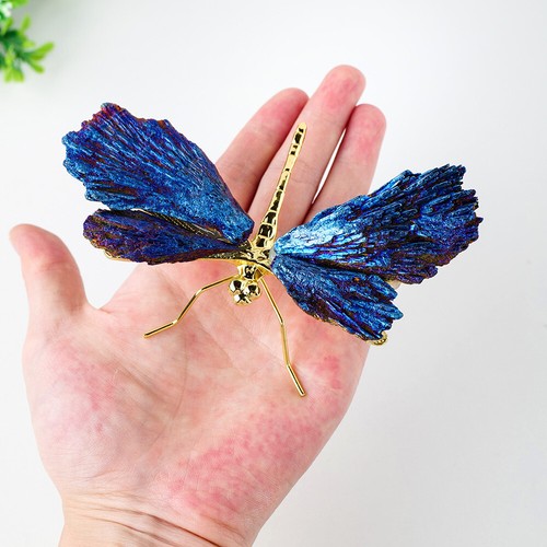 Aura kyanite dragonfly healing - kyanite,