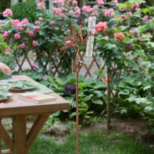 Rain gauge with light - with,