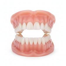 Flexible Silicone Dentures -