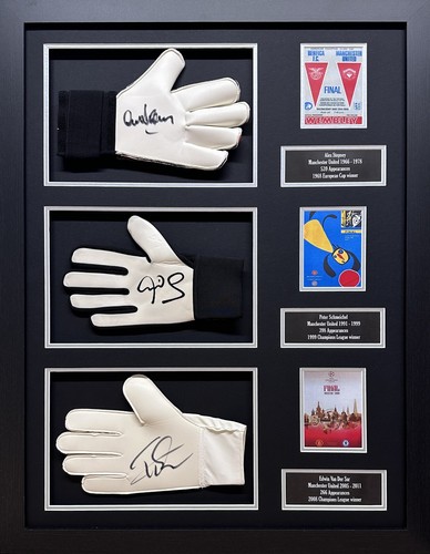 Schmeichel van der - schmeichel,
