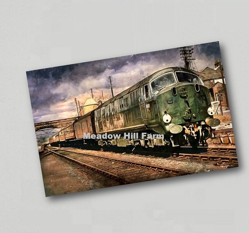 Fridge magnet green - fridge, br