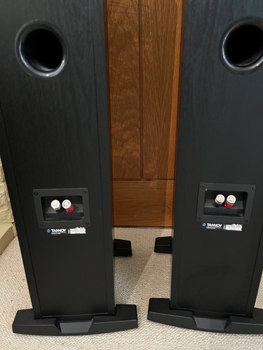 Tannoy eclipse floor - tannoy,