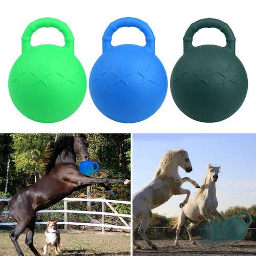 Medium large dogs equine - large, horse