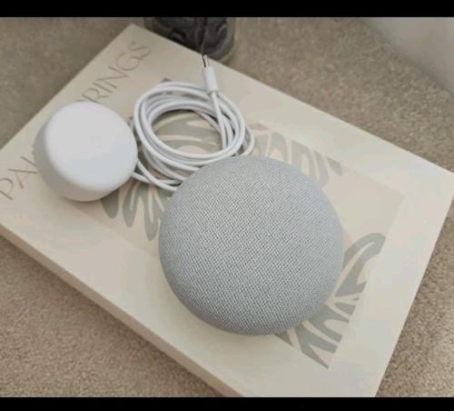 Google nest mini chalk - chalk, smart