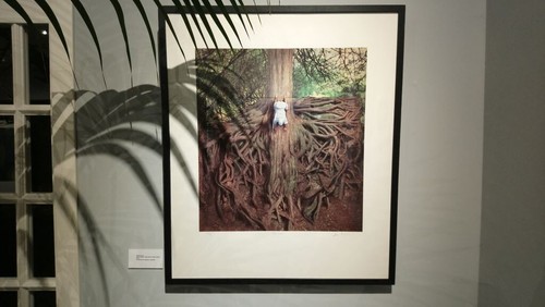 Storm thorgerson the - storm,