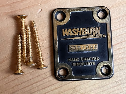 1990s washburn guitar - washburn,