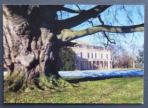 Postcard used moggerhanger - used,