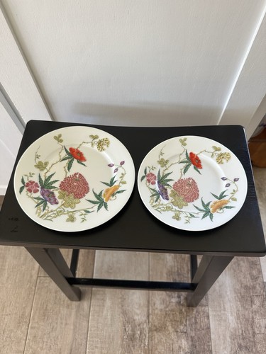 Raynaud ceralene limoges - 2,