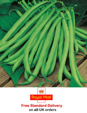 50 x CLIMBING FRENCH BEAN BLUE