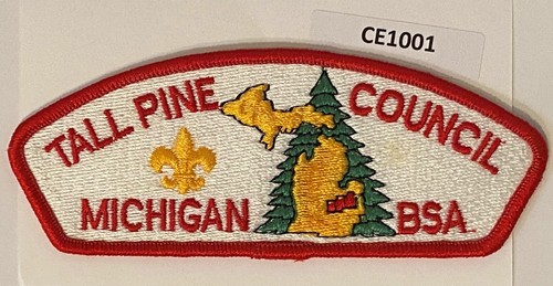 Boy scout tall pine - boy,