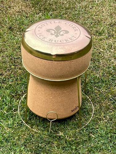 Champagne ice bucket bottle - champagne,