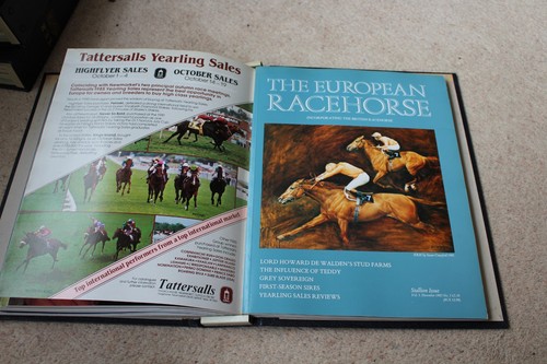 The european racehorse 1985 - racehorse,