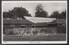 Surrey postcard cobham - -,