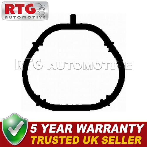 Exhaust manifold gasket fits - manifold,