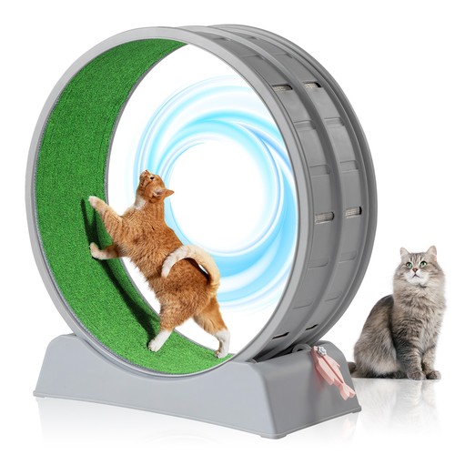 Cat exercise wheel - cat, 39.4