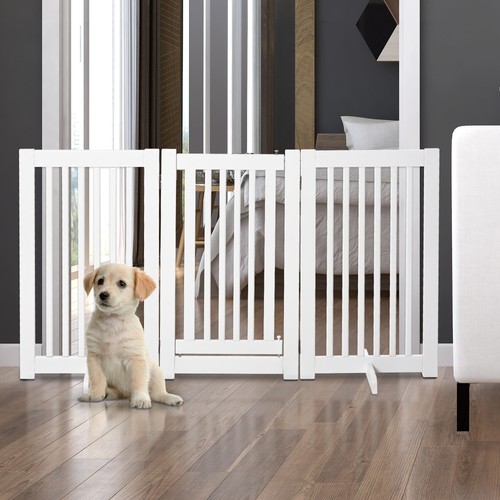 Dog gate step - dog, fence