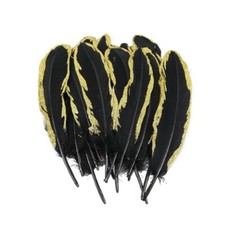 Gold Glitter Black Goose Real