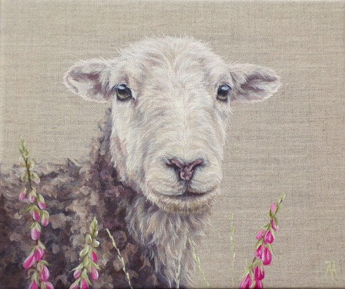 Herdwick ewe original - -,