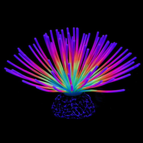 Aquarium imitative rainbow sea - aquarium,