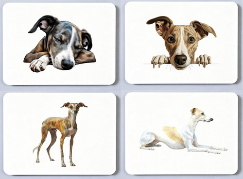 Whippet picture - whippet,