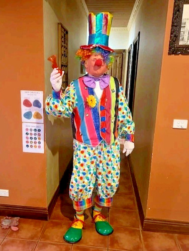 Clown costume accessories - costume,