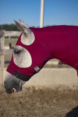 Lycra horse hood burgubdy - horse,