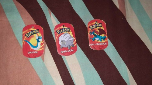 Pokemon metal tags dragon - metal,