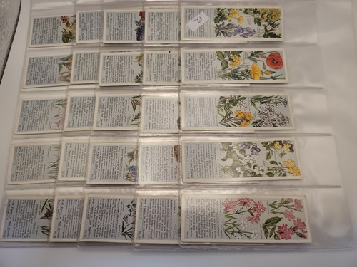 Vintage typhoo tea cards - typhoo,