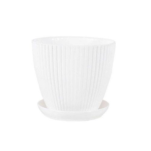 Round plant pots with - plant, tray