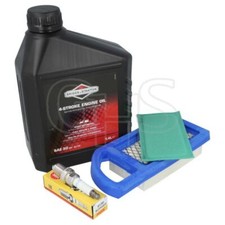 Briggs & Stratton Intek