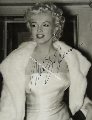 Marilyn monroe signed - marilyn,