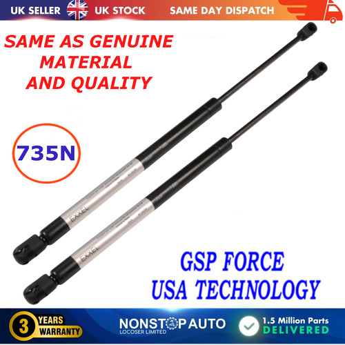 Rear tailgate gas struts - rear,