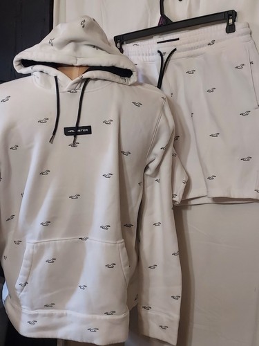 Hollister mens hoodie - hollister, and