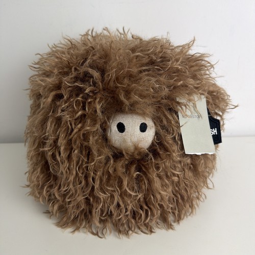 Next hamish the - highland, cow