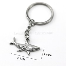 Stainless Steel Shark Tropical