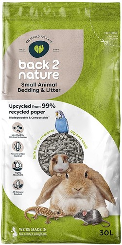 Back nature small animal - small,