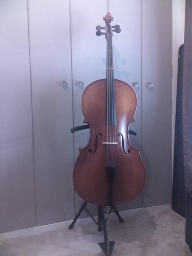 Acoustic string cello - 4/4, 4-string