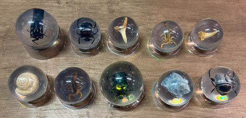 Mixed lot bugs - lot, bugs,