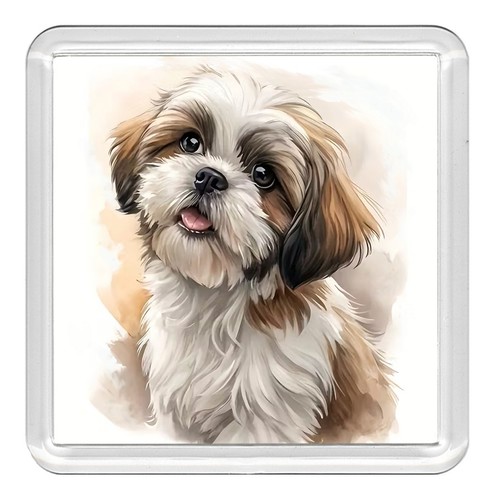 Shih tzu dog acrylic - tzu, coaster