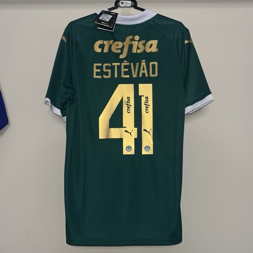 Palmeiras 2024 puma home - 2024,