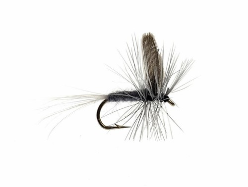 Pack blue dun trout flies - pack,