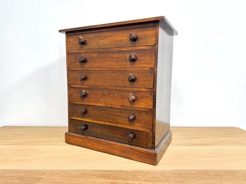 Antique pine spécimen - antique,