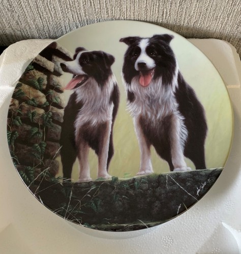 Border collie dog plate top - dog,