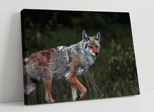 FOX 6 LARGE CANVAS WALL ART