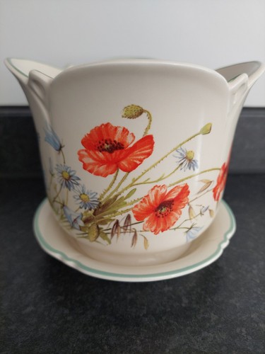 Plant flower pot and saucer - flower,