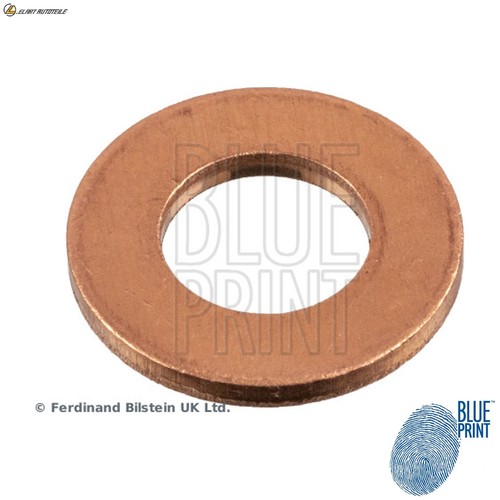 Oil drain plug sealing - plug, ring